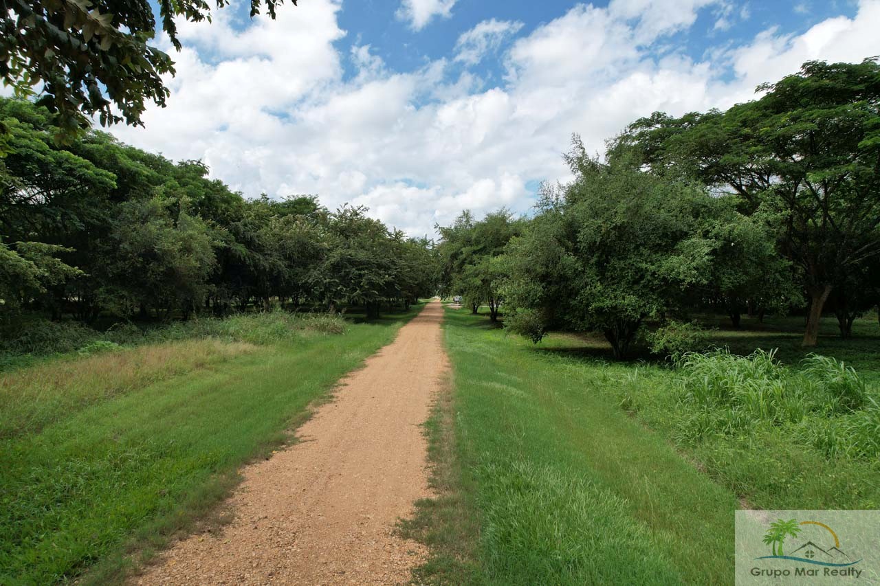 Belize Land For Sale in Santa Familia Cayo