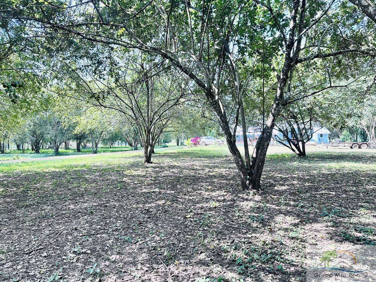 Belize Lot in Santa Familia Cayo