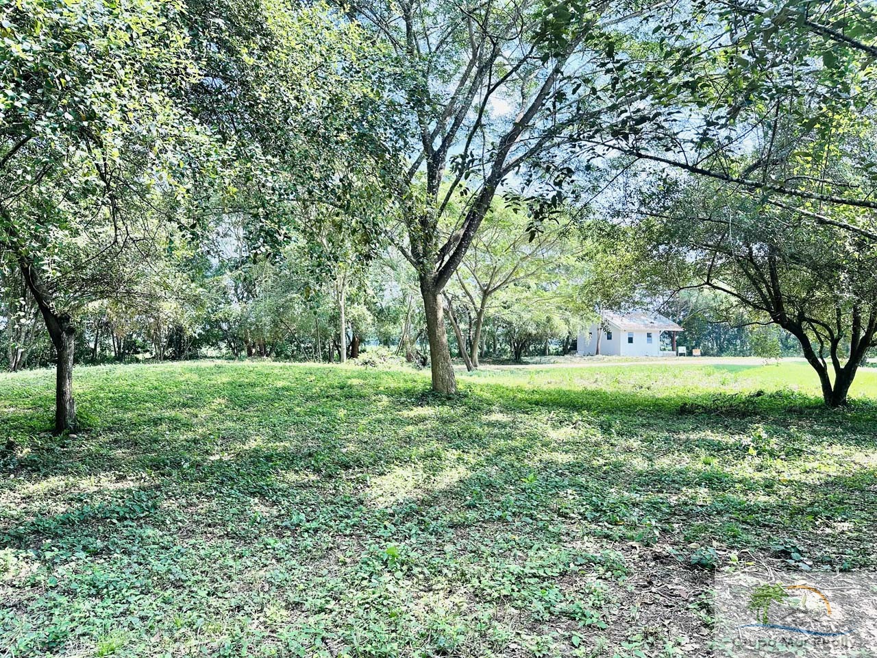 Belize Lot in Santa Familia Cayo