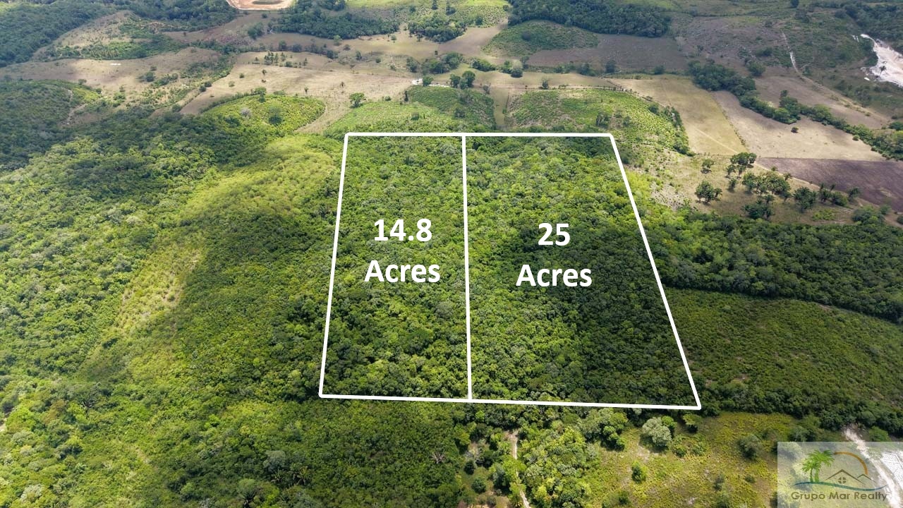 Prime 40 Acre Property Near San Ignacio