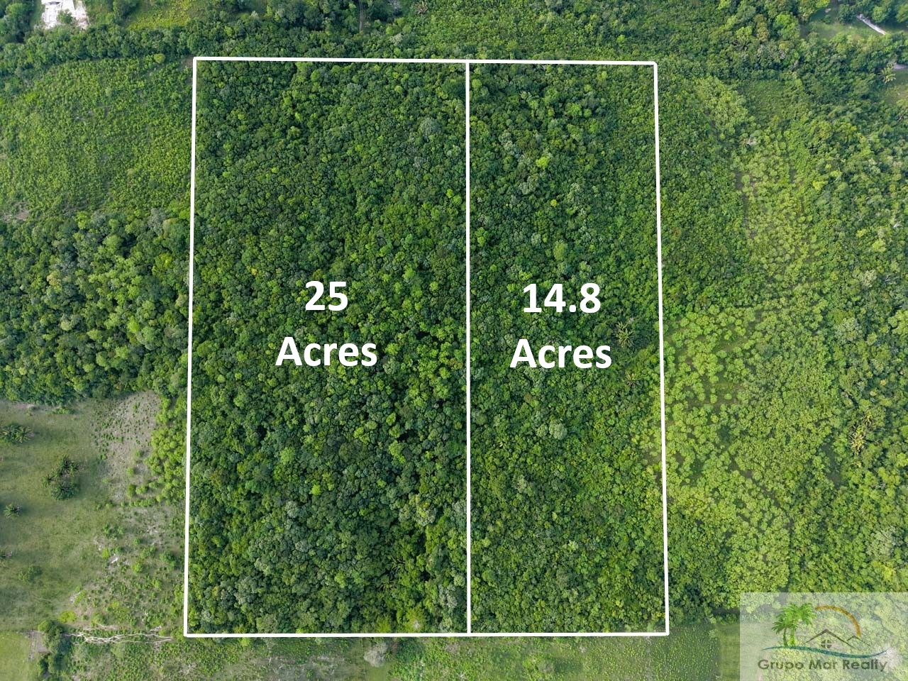 Prime 40 Acre Property Near San Ignacio
