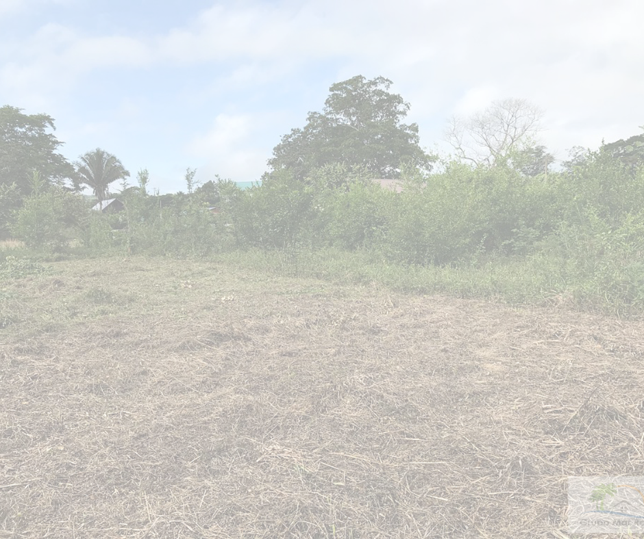 San Ignacio Residential Lot for sale Grupo Mar Realty Belize Home Lot