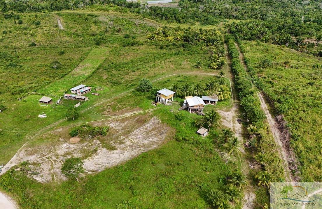 Belize Farm on 45 Acres For Sale 