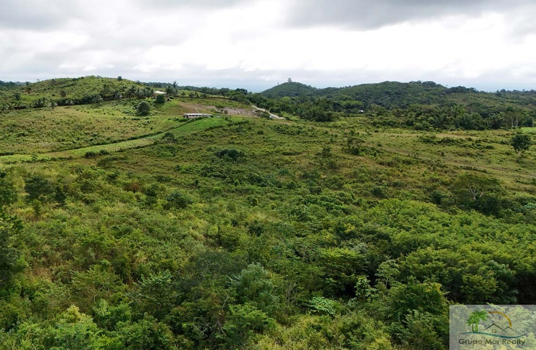 Belize Farm on 45 Acres For Sale 
