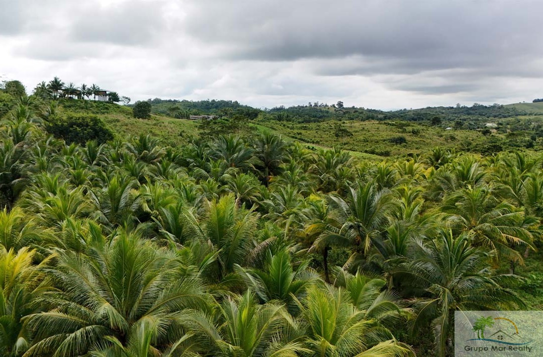 Belize Farm on 45 Acres For Sale 