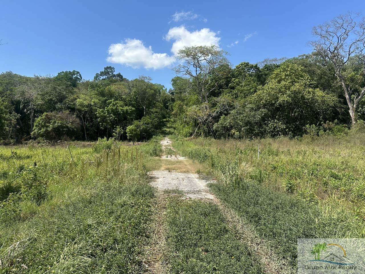 Belize Residential Lots near San Ignacio Cayo 