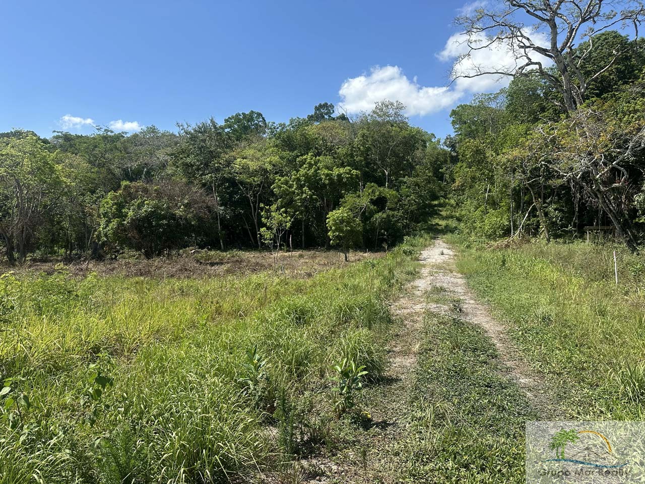 Belize Residential Lots near San Ignacio Cayo 