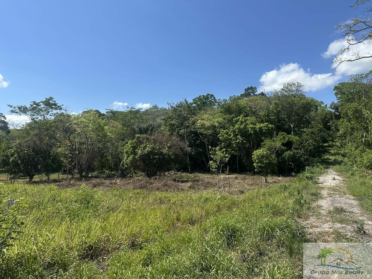 Belize Residential Lots near San Ignacio Cayo 