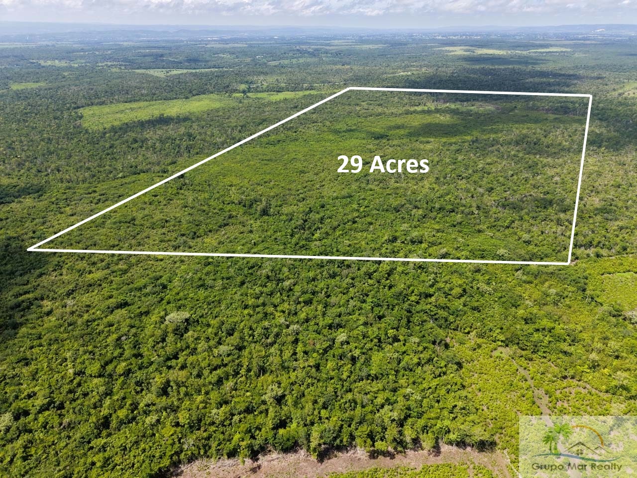 Belize 29 Acre Cayo Jungle Property