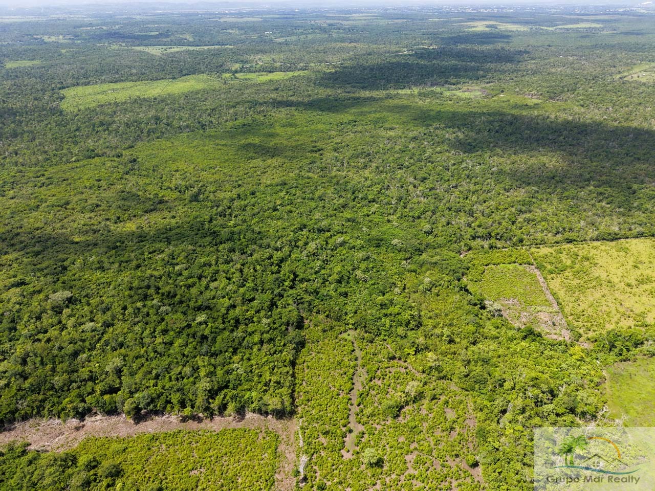 Belize 29 Acre Cayo Jungle Property